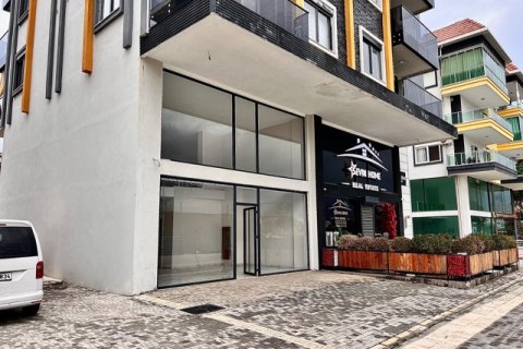 Erhvervsejendom i Antalya, Tyrkiet Nr. 222778 - 5