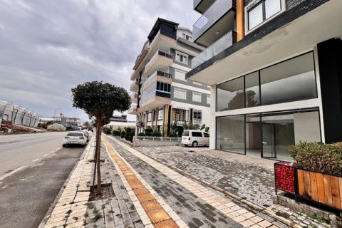 Erhvervsejendom i Antalya, Tyrkiet Nr. 222778 - 3