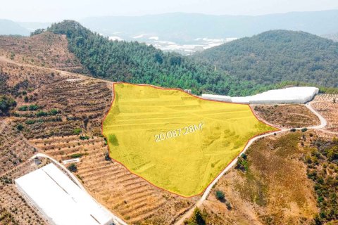 Land  in Gazipasa, Antalya, Türkei Nr. 216940 - 3