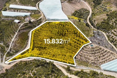 Land plot  in Gazipasa, Antalya, Turkey No. 216944