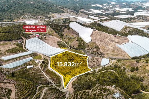 Tomt  i Gazipasa, Antalya, Tyrkia Nr. 216944 - 7