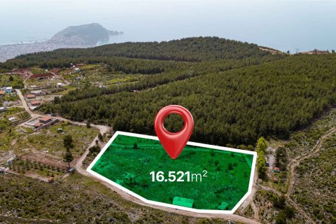 زمین در Alanya ، ترکیه 16521 متر مربع. شماره 216942 - 2