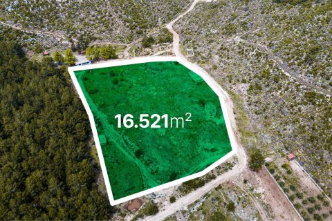 زمین در Alanya ، ترکیه 16521 متر مربع. شماره 216942 - 4