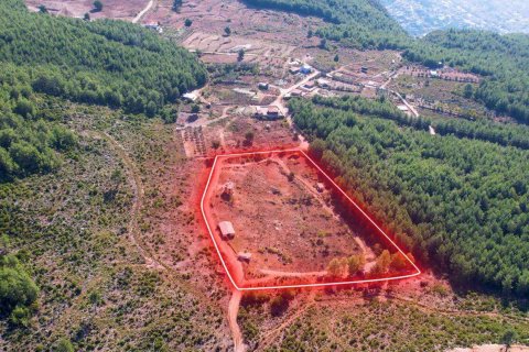زمین در Alanya ، ترکیه 16521 متر مربع. شماره 216942 - 7