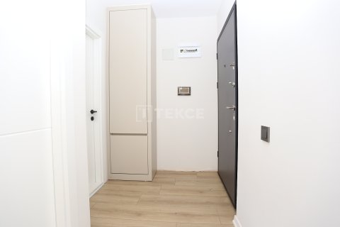 12+5 Villa  i Aksu, Antalya, Tyrkiet Nr. 215634 - 28