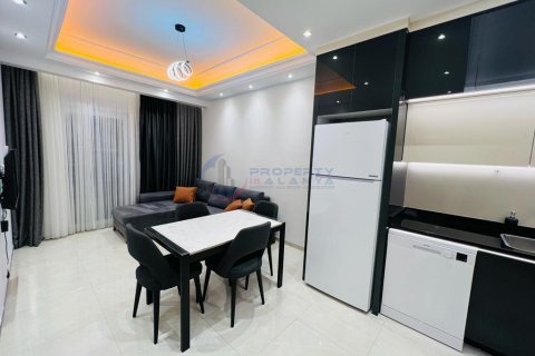 1+1 Wohnung in Alanya, Antalya, Türkei Nr. 211440 - 18