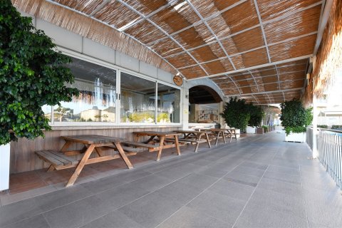 2+1 Lägenhet  i Alanya, Antalya, Turkiet Nr. 237690 - 27