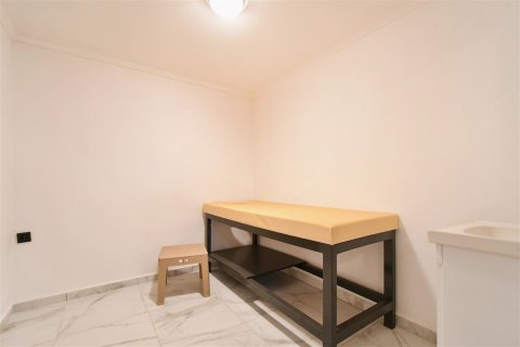 3+1 Wohnung  in Alanya, Antalya, Türkei Nr. 237692 - 24