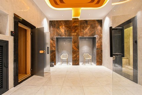 1+1 Wohnung  in Alanya, Antalya, Türkei Nr. 237695 - 12
