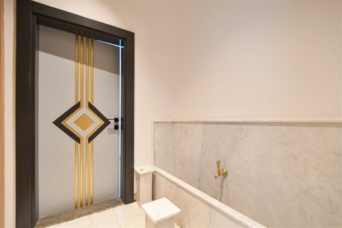 1+1 Wohnung  in Alanya, Antalya, Türkei Nr. 237695 - 22
