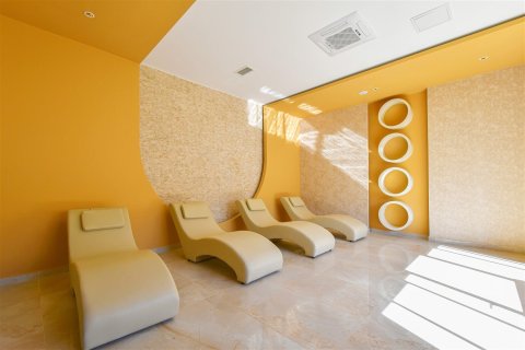 1+1 Wohnung  in Alanya, Antalya, Türkei Nr. 237695 - 19