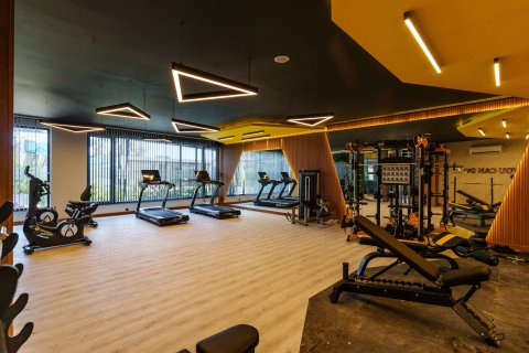 3+1 Wohnung  in Oba, Antalya, Türkei Nr. 219008 - 17