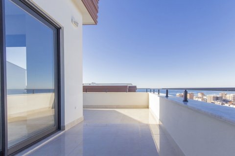 4+1 Lägenhet i Mahmutlar, Antalya, Turkiet Nr. 217926 - 10