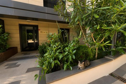 3+1 Lejlighed i Üsküdar, Istanbul, Tyrkiet Nr. 237479 - 21