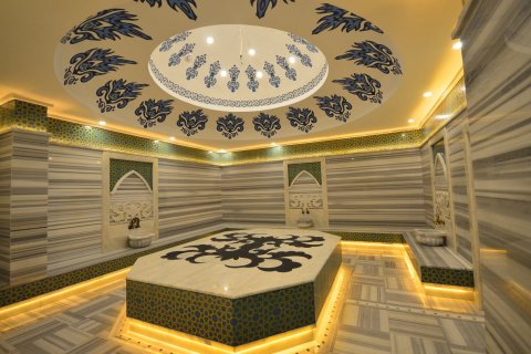 آپارتمان در Kargicak، Alanya ، ترکیه 3 خوابه ، 200 متر مربع. شماره 110407 - 23