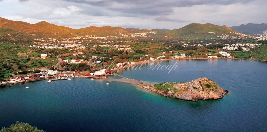 Villa 3+1 Bodrum, Muğla, Türkiye №221372