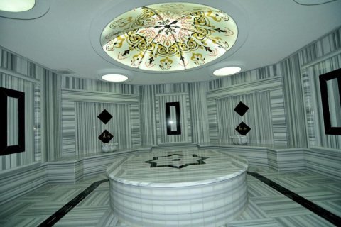1+1 Lejlighed  i Kestel, Antalya, Tyrkiet Nr. 221376 - 12