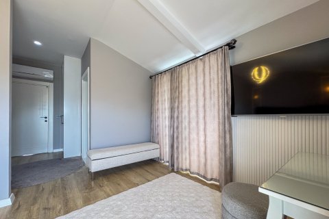 4+1 Leilighet i Alanya, Antalya, Tyrkia Nr. 216607 - 22