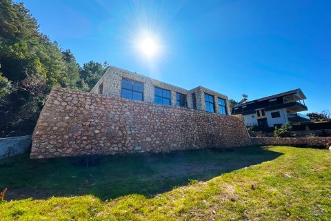 3+1 Villa  i Kestel, Bursa, Turkiet Nr. 217497 - 17