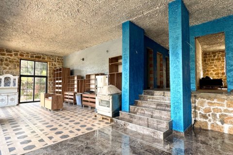 3+1 Villa  i Kestel, Bursa, Turkiet Nr. 217497 - 8