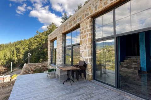 3+1 Villa  i Kestel, Bursa, Turkiet Nr. 217497 - 4