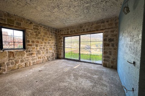 3+1 Villa  i Kestel, Bursa, Turkiet Nr. 217497 - 14