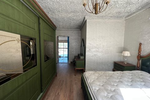 3+1 Villa  i Kestel, Bursa, Turkiet Nr. 217497 - 13