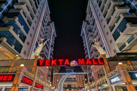 1+1 Wohnung  in Mahmutlar, Antalya, Türkei Nr. 217493 - 17