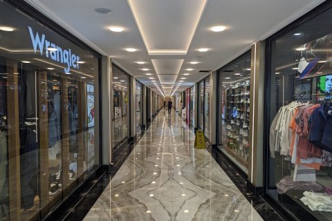 1+1 Wohnung  in Mahmutlar, Antalya, Türkei Nr. 217493 - 18