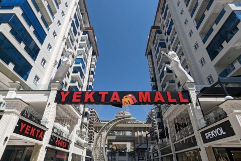 1+1 Wohnung  in Mahmutlar, Antalya, Türkei Nr. 217493 - 16