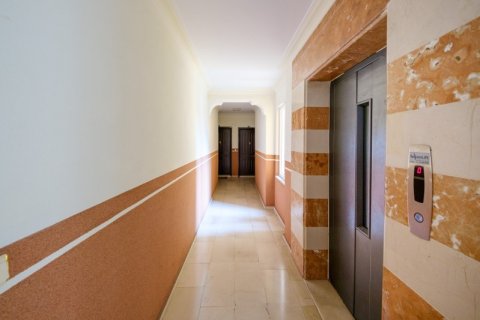 2+1 Leilighet i Alanya, Antalya, Tyrkia Nr. 215243 - 20