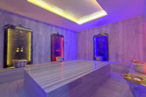 Daire  1+1  Alanya, Antalya, Türkiye №216801 - 14