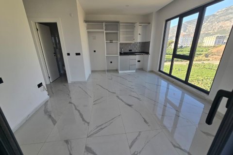 Daire  1+1  Alanya, Antalya, Türkiye №216803 - 3