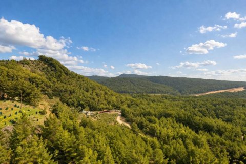 Продажа квартиры в Авсалларе, Анталье, Турция 2 комн., 135м2, №215204 – фото 24