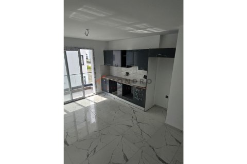 1+1 Lägenhet  i  Nr. 214721 - 6
