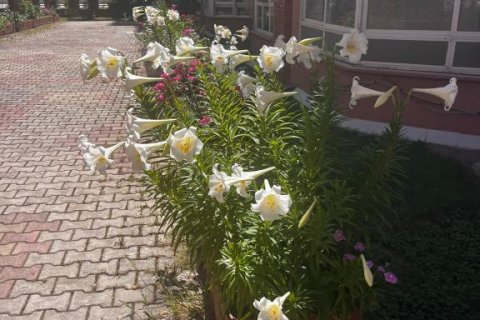 Lejlighed i Mahmutlar, Antalya, Tyrkiet Nr. 228093 - 11