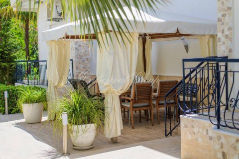 1+0 Villa  i Kemer, Antalya, Tyrkiet Nr. 226051 - 6