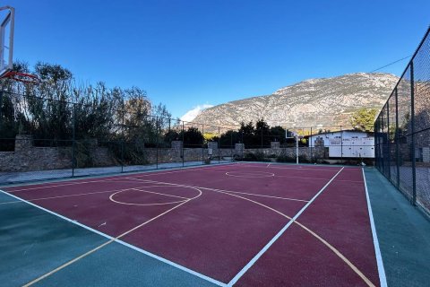 Apartment for sale  in Mahmutlar, Antalya, Turkey, studio, 30m2, No. 227856 – photo 6