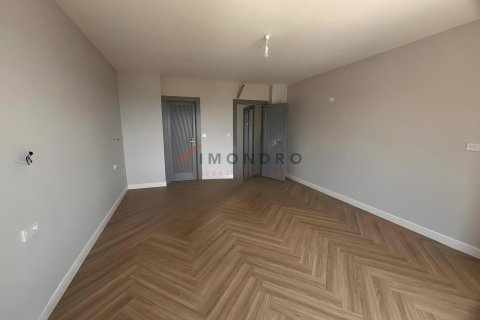 5+1 Villa  i Silivri, Istanbul, Tyrkiet Nr. 232397 - 13