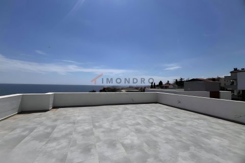5+1 Villa  i Silivri, Istanbul, Tyrkiet Nr. 232397 - 4