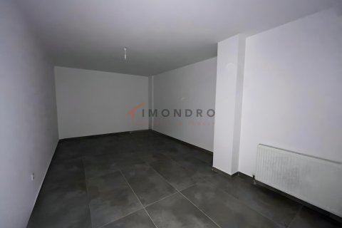 5+1 Villa  i Silivri, Istanbul, Tyrkiet Nr. 232397 - 23