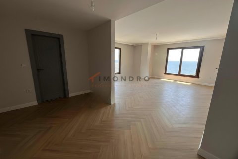 5+1 Villa  i Silivri, Istanbul, Tyrkiet Nr. 232397 - 15
