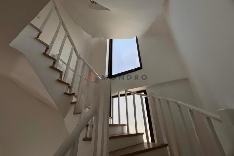 5+1 Villa  i Silivri, Istanbul, Tyrkiet Nr. 232397 - 22
