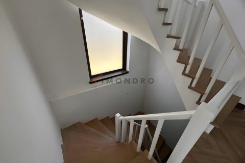 5+1 Villa  i Silivri, Istanbul, Tyrkiet Nr. 232397 - 27