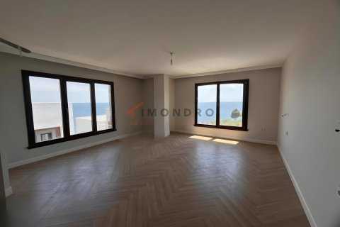 5+1 Villa  i Silivri, Istanbul, Tyrkiet Nr. 232397 - 11