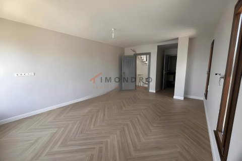 5+1 Villa  i Silivri, Istanbul, Tyrkiet Nr. 232397 - 19