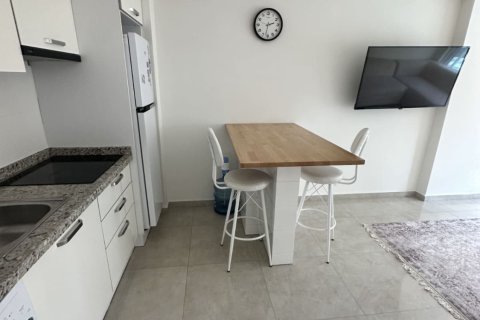 1+1 Leilighet i Mahmutlar, Antalya, Tyrkia Nr. 213144 - 19