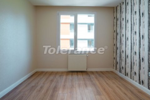 Daire 1+1 İstanbul, Türkiye №212222 - 10