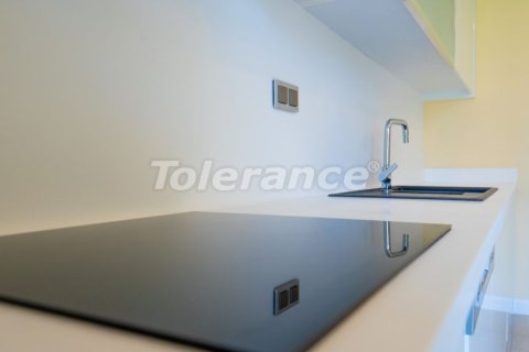 Daire 1+1 İstanbul, Türkiye №212222 - 8