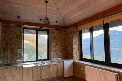 5+2 Villa i Kestel, Bursa, Turkiet Nr. 217439 - 5